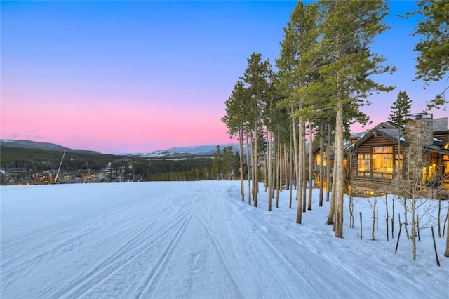 422 Timber Trail Rd, Breckenridge, CO 80424 - view of snowy yard