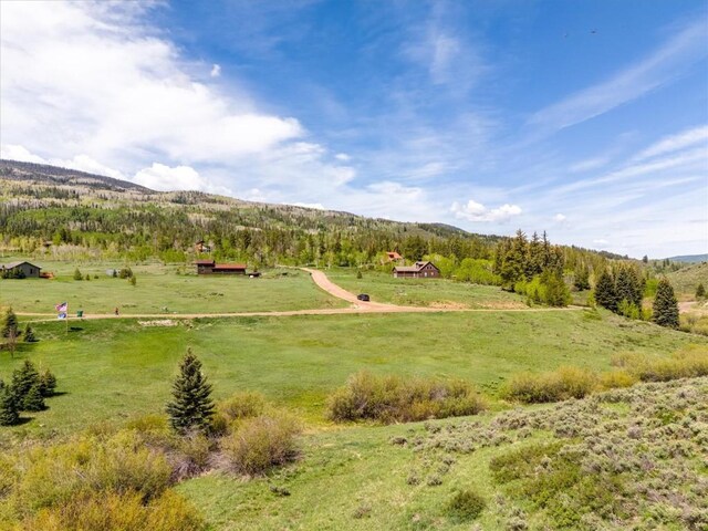 22580 Cheyenne Trl, Oak Creek, CO 80467