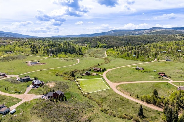 22580 Cheyenne Trl, Oak Creek, CO 80467