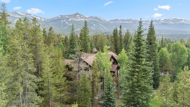 112 Klack Rd, Breckenridge, CO 80424 - photo 38