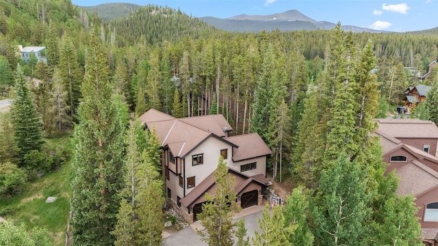 112 Klack Rd, Breckenridge, CO 80424 - photo 39