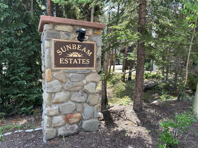 112 Klack Rd, Breckenridge, CO 80424 - photo 44