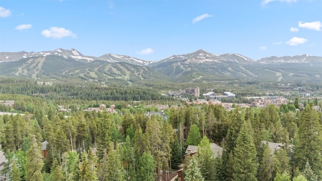 112 Klack Rd, Breckenridge, CO 80424 - photo 40