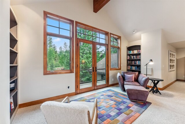 112 Klack Rd, Breckenridge, CO 80424 - photo 20