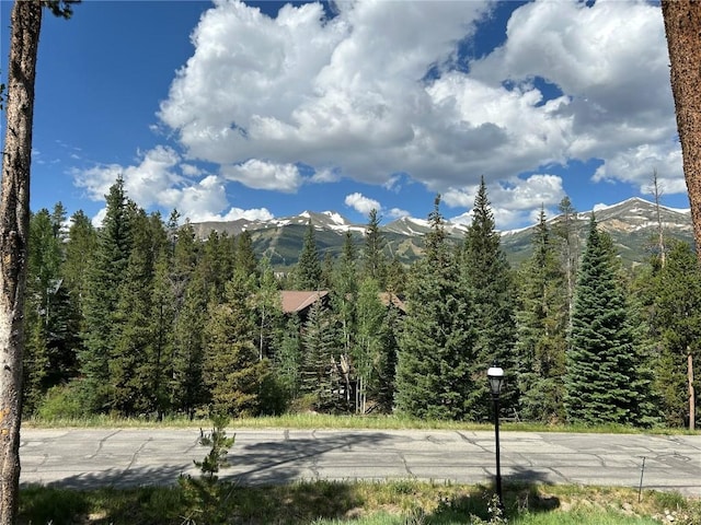 112 Klack Rd, Breckenridge, CO 80424 - photo 2