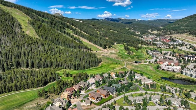 91 Masters Dr, Copper Mountain, CO 80443 - photo 2