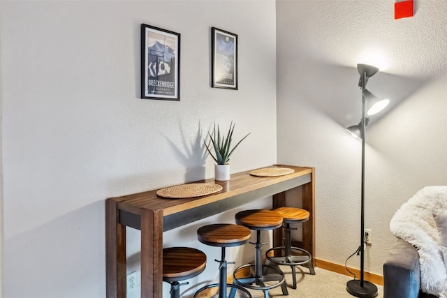 23110 US Highway 6 Unit 5054, Keystone, CO 80435 - detailed view of baseboards and carpet