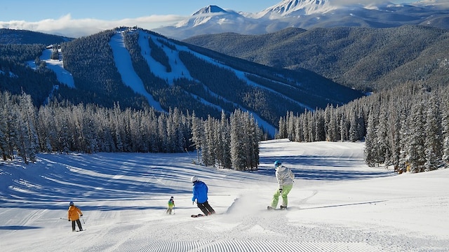 23110 US Highway 6 Unit 5054, Keystone, CO 80435 - view of mountain backdrop featuring a heavily wooded area