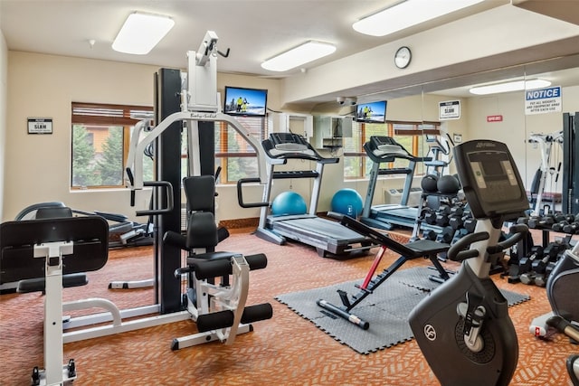 23110 US Highway 6 Unit 5054, Keystone, CO 80435 - exercise room featuring carpet