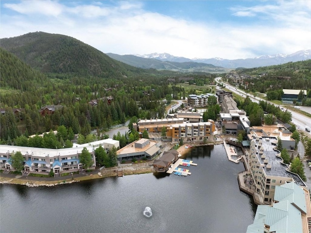22174 US Highway 6 Unit 7, Keystone, CO 80435 - bird's eye view of a water and mountain view and a forest
