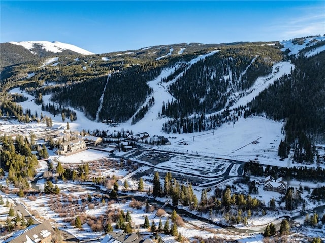 22174 US Highway 6 Unit 7, Keystone, CO 80435 - view of mountain background