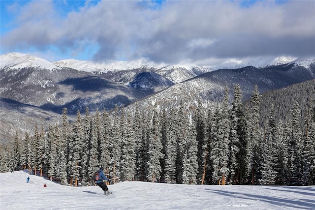 22174 US Highway 6 Unit 7, Keystone, CO 80435 - mountain view with a forest