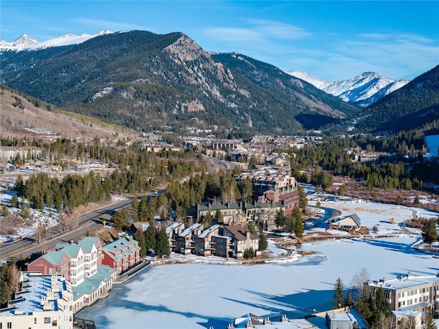 22174 US Highway 6 Unit 7, Keystone, CO 80435 - view of mountain backdrop