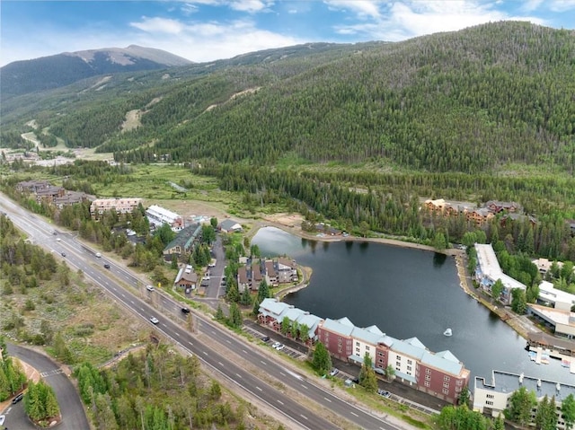 22174 US Highway 6 Unit 7, Keystone, CO 80435 - aerial view of property's location with a heavily wooded area and a water and mountain view
