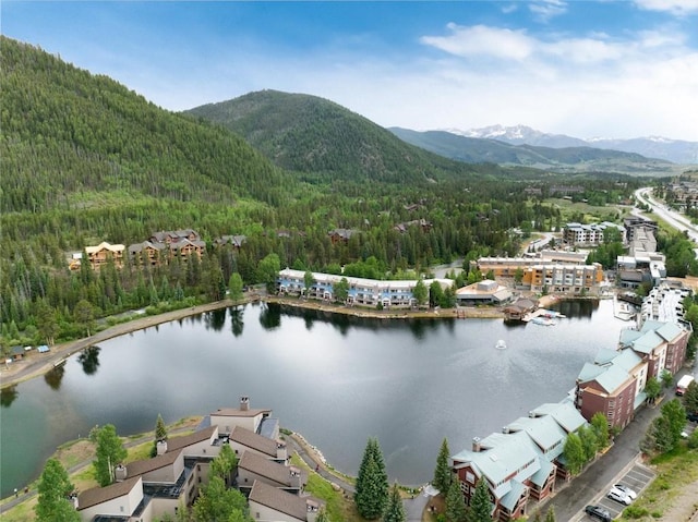 22174 US Highway 6 Unit 7, Keystone, CO 80435 - bird's eye view of a heavily wooded area and a water and mountain view