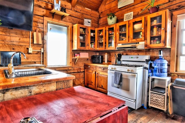 262 Swandyke Ct, Jefferson, CO 80456 - kitchen with lofted ceiling, wood walls, white gas range oven, wooden ceiling, and under cabinet range hood