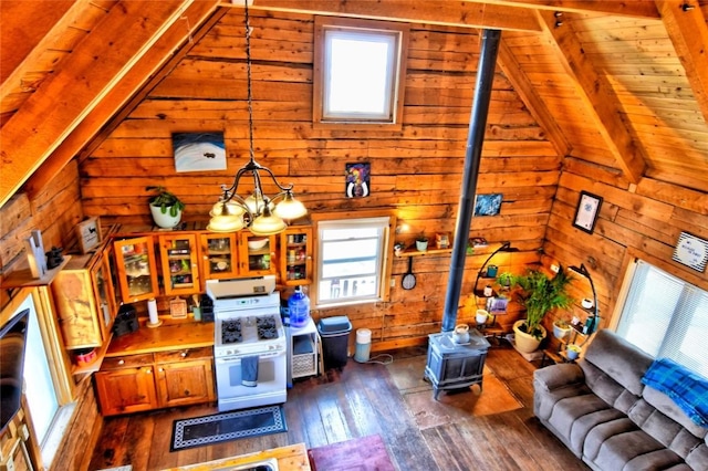 262 Swandyke Ct, Jefferson, CO 80456 - living room with a wood stove, dark wood-style flooring, wooden walls, wood ceiling, and a chandelier