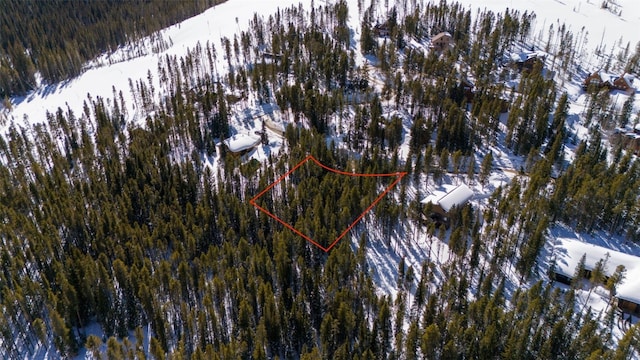 282 Slalom Dr, Breckenridge, CO 80424 - photo 4