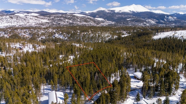 282 Slalom Dr, Breckenridge, CO 80424 - photo 8