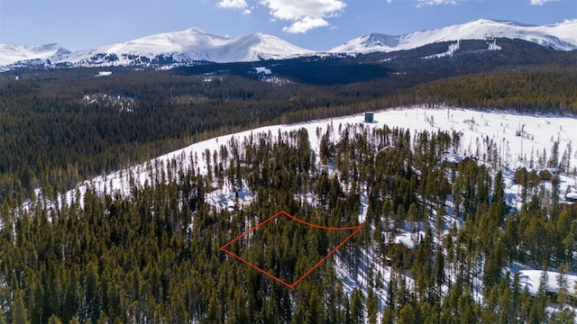 282 Slalom Dr, Breckenridge, CO 80424 - photo 5