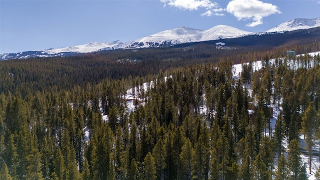 282 Slalom Dr, Breckenridge, CO 80424 - photo 12