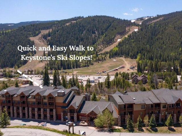 22714 US Highway 6 Unit 5958, Keystone, CO 80435 - aerial perspective of suburban area with a forest and a mountain backdrop