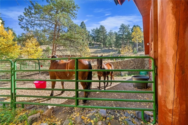 view of stable