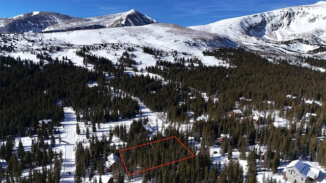 244 Camron Ln, Breckenridge, CO 80424