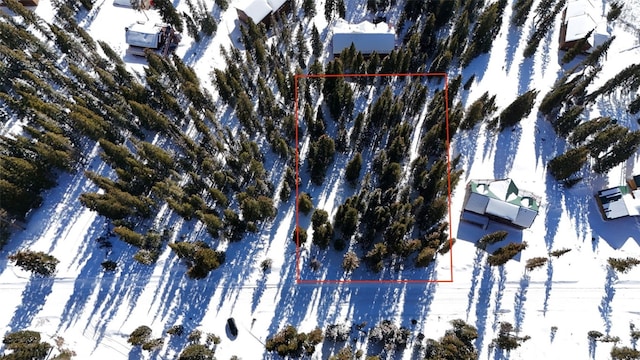 244 Camron Ln, Breckenridge, CO 80424