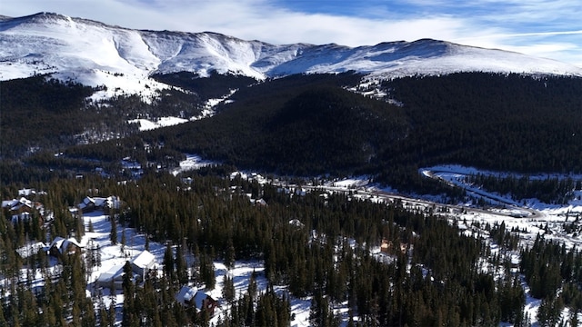 244 Camron Ln, Breckenridge, CO 80424