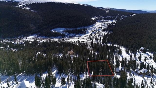244 Camron Ln, Breckenridge, CO 80424
