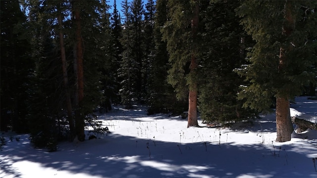 244 Camron Ln, Breckenridge, CO 80424