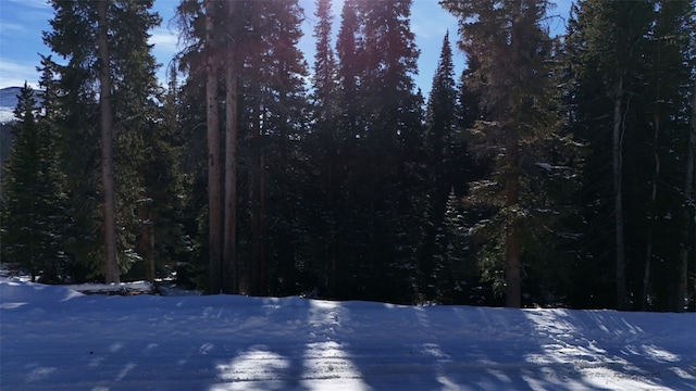 244 Camron Ln, Breckenridge, CO 80424