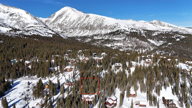 244 Camron Ln, Breckenridge, CO 80424