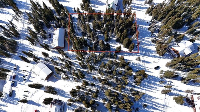 244 Camron Ln, Breckenridge, CO 80424