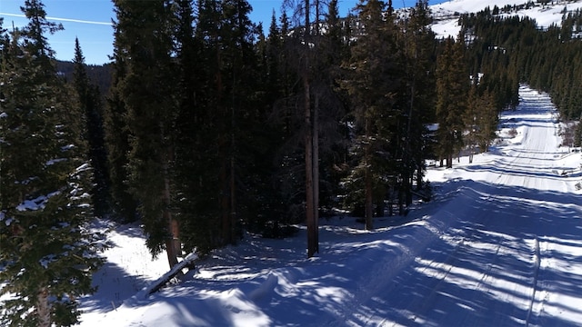 244 Camron Ln, Breckenridge, CO 80424