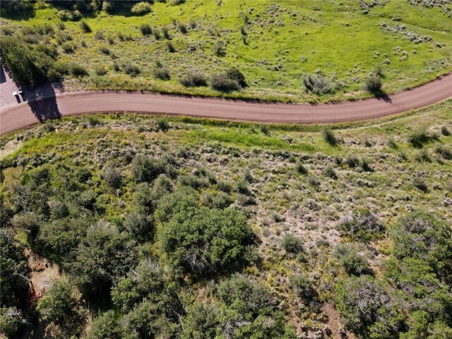 31175 Broken Talon Trl, Oak Creek, CO 80467 - photo 6