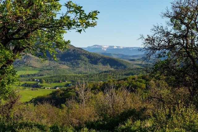 28100 Columbine Rdg, Steamboat Springs, CO 80487 - photo 17