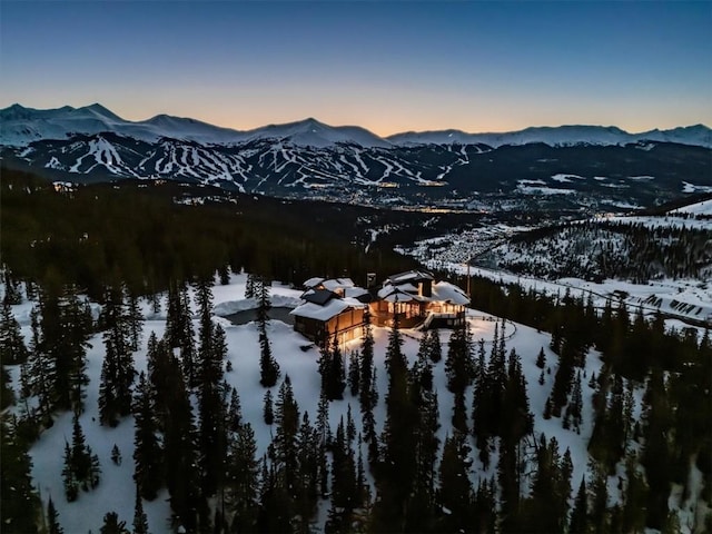 300 Little Sallie Barber Trl, Breckenridge, CO 80424 - photo 47