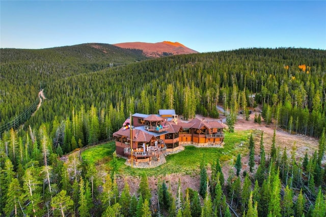 300 Little Sallie Barber Trl, Breckenridge, CO 80424 - photo 22