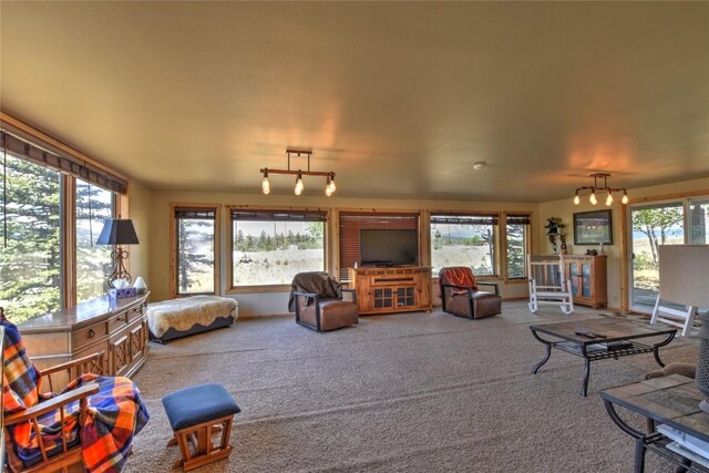 275 Vulture Ln, Como, CO 80432 - photo 8