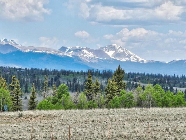 275 Vulture Ln, Como, CO 80432 - photo 42