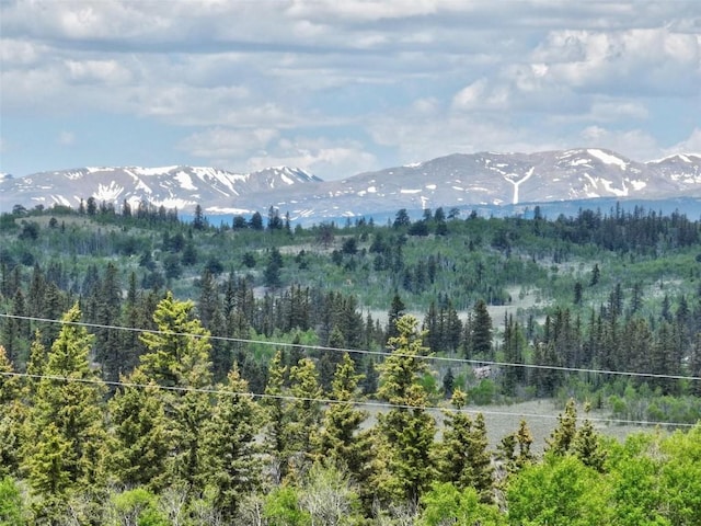 275 Vulture Ln, Como, CO 80432 - photo 44