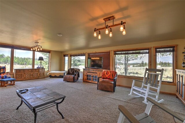 275 Vulture Ln, Como, CO 80432 - photo 9