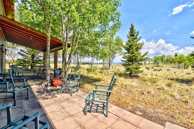 275 Vulture Ln, Como, CO 80432 - photo 5