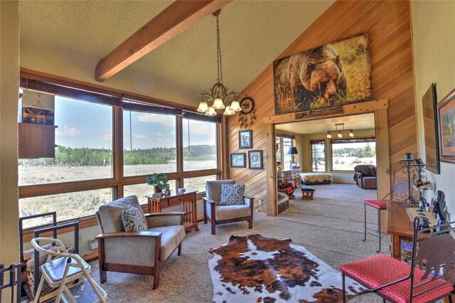 275 Vulture Ln, Como, CO 80432 - photo 3