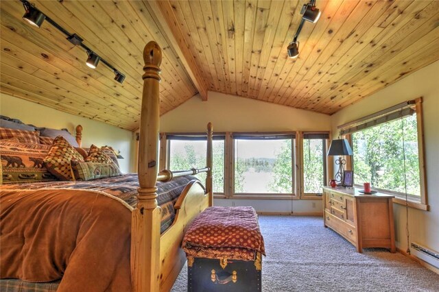 275 Vulture Ln, Como, CO 80432 - photo 26