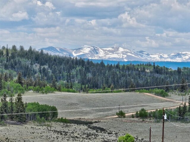 275 Vulture Ln, Como, CO 80432 - photo 45