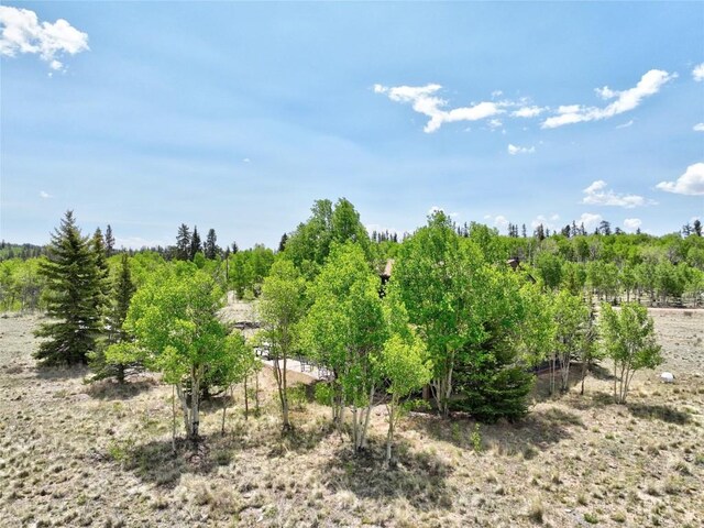 275 Vulture Ln, Como, CO 80432 - photo 4