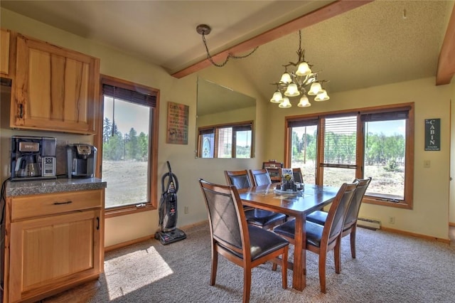 275 Vulture Ln, Como, CO 80432 - photo 20